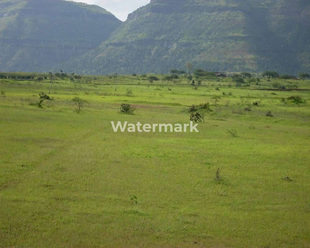 Teren cu PUZ de vanzare in Faget! - Poză 3