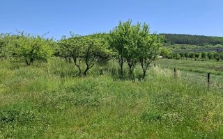 Teren de vanzare in Valcele - Poză 1