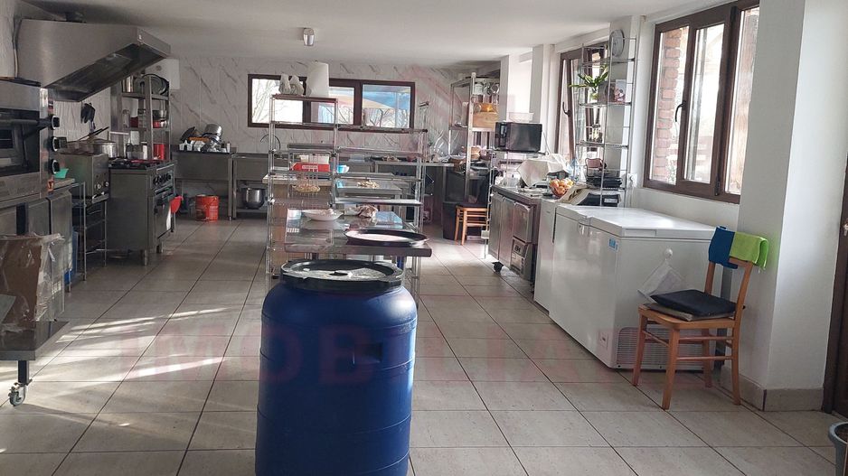 CASĂ\VILĂ DE VÂNZARE \COM. OBREJA\SAT IAZ\CARAȘ-SEVERIN - Poză 20