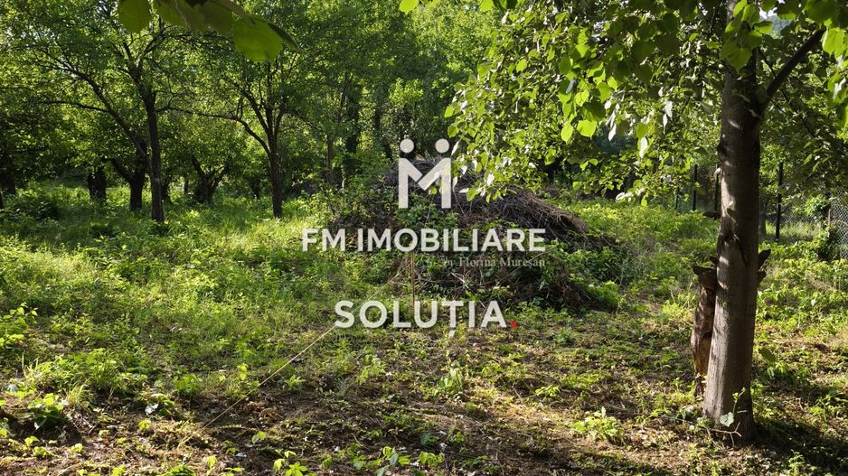 Teren intravilan 10 ari, zona Grigore Ureche, PUZ! - Poză 4