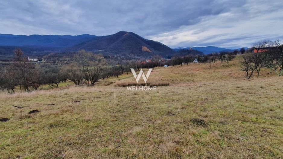 Rădăcini noi, visuri vechi- Teren de vanzare in Cisnadioara, Sibiu - Poză 5