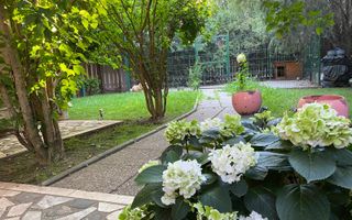 Vila 8 camere | padurea Baneasa | teren 383 mp - Poză 21