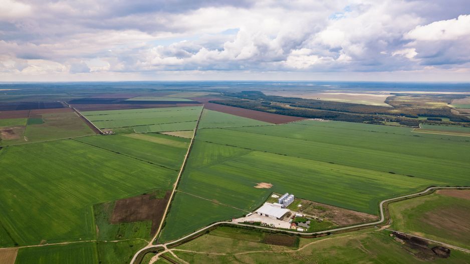 Teren 13500000 mp în Socodor - Poză 6