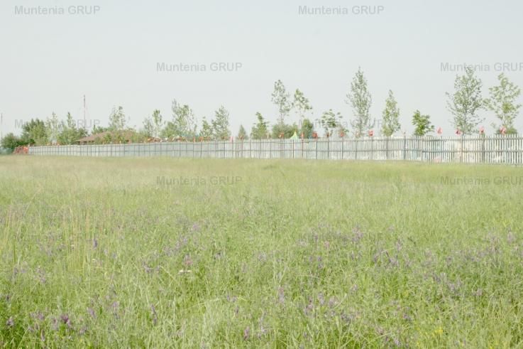 OTOPENI - Aqua Magic, teren intravilan S =  8.000 mp. - Poză 5