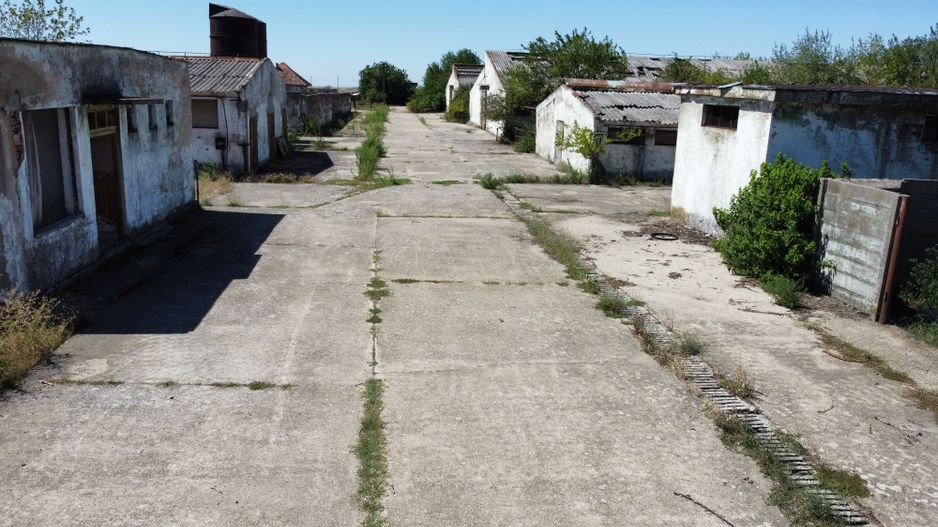 Spațiu industrial -fermă Orțișoara - Poză 12