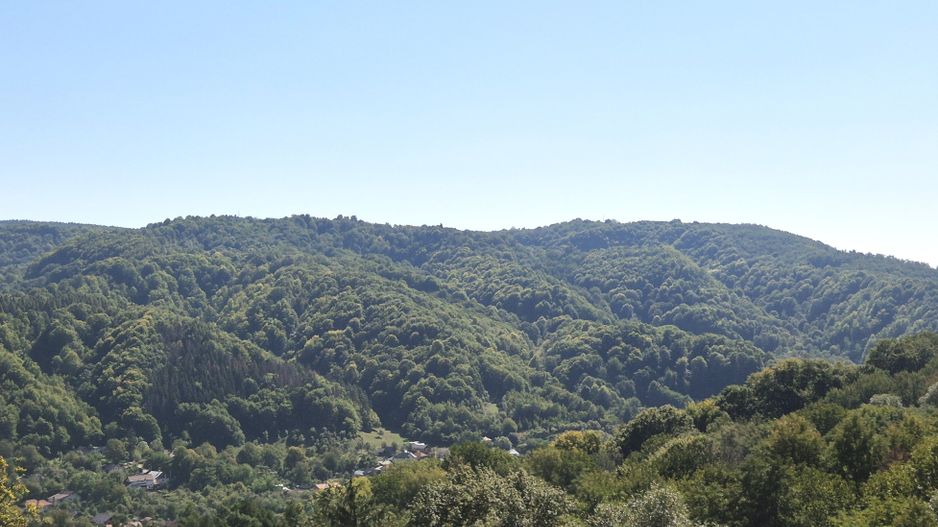 COMISION 0% - Casa cu view specataculos, D+P+M 236mp teren 436mp Campulung Arges - Poză 39