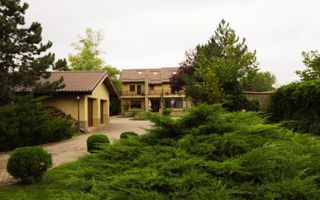 Vila de lux Buftea de inchiriat | 520 mp | teren 2491 mp - Poză 5