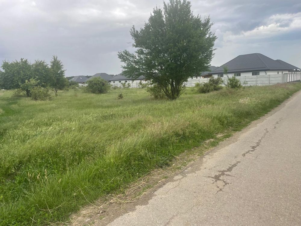 Teren 5.000 mp | Tamași – Corbeanca | Lângă Pădure | Utilități - Poză 2