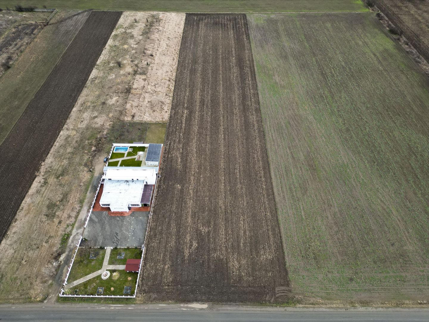 Teren 20.000 mp Vladimirescu - Poză 3