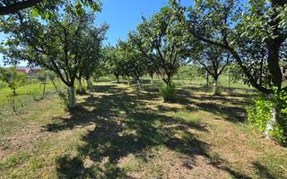 Casa 5 Camere 1700mp Teren, 10km de Alba Iulia - Poză 4