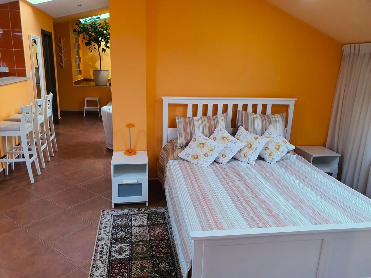 BRASADAS închiriază ap 2 cam la MANSARDA zona Dorobanti. - Poză 7