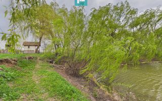 Teren 1 ha cu baltă populată – Alioș (Mașloc) - Poză 6