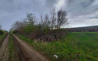 Teren agricol, Boșcana, 20 ari - Poză 1