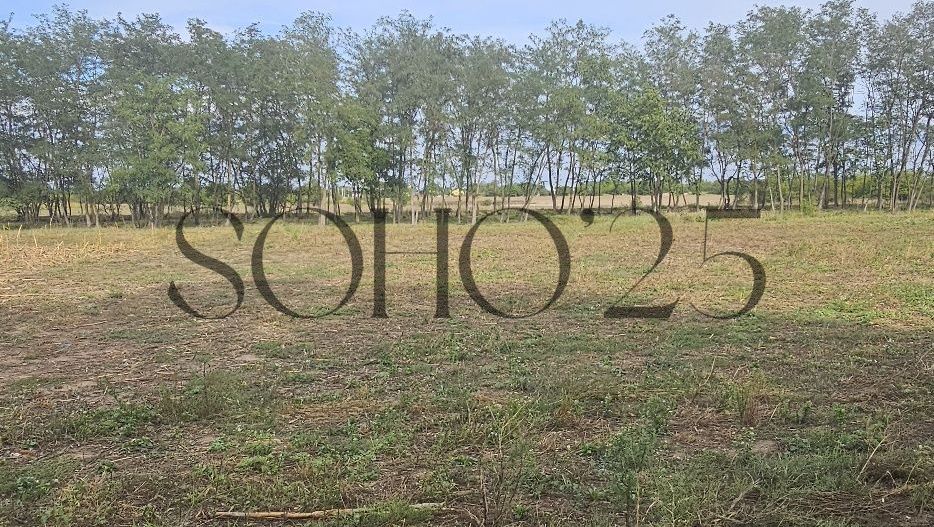 Teren intravilan construibil peisaj de vis - Poză 7