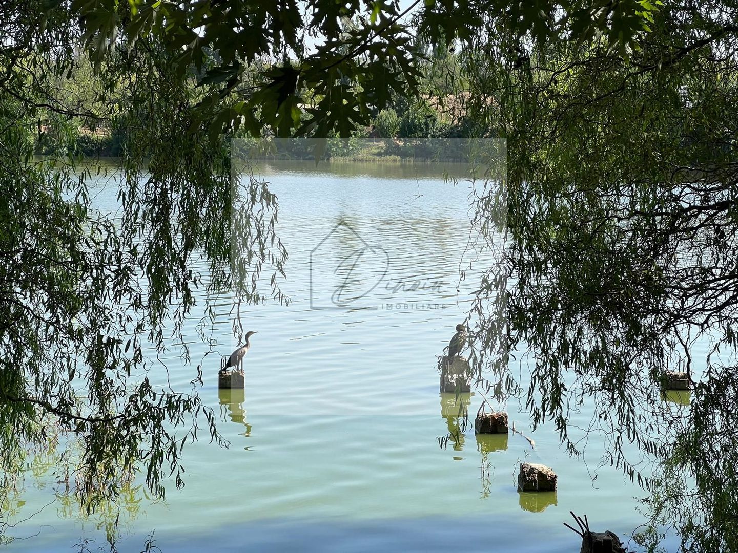 Laguna Residence I Apartament 3 camere Floreasca I parcare I Com 0% - Poză 6