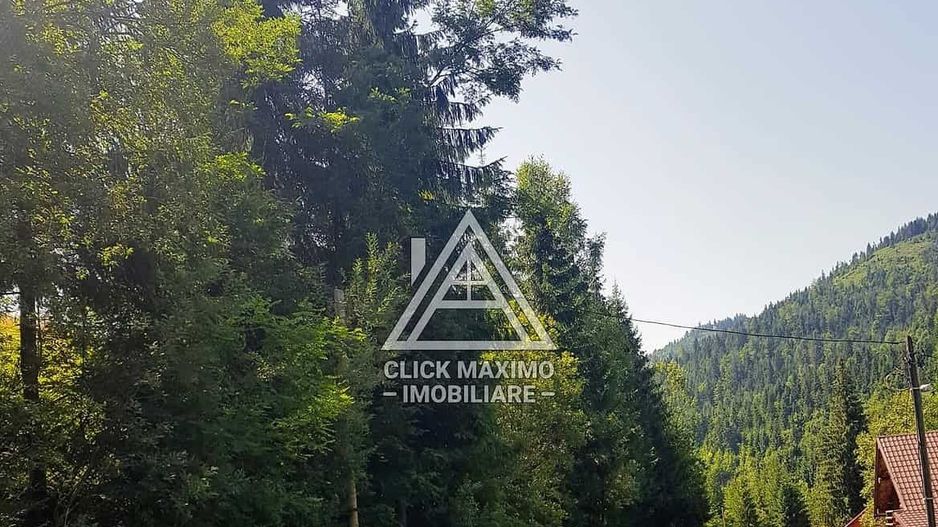 7130 mp TEREN INTRAVILAN ARIESENI-ALBA langa viitoarea partie de SCHI - Poză 3