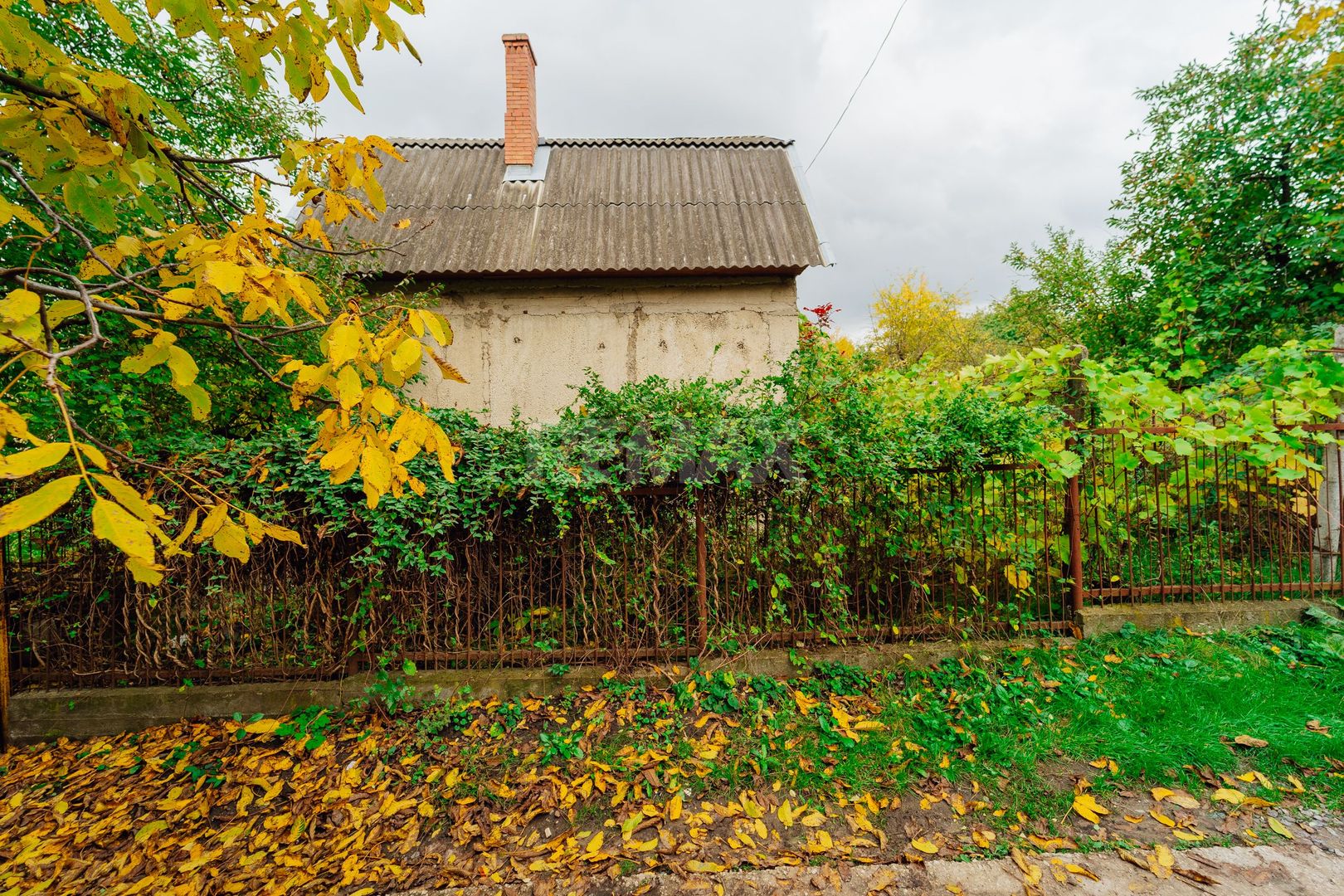 Lot pomicol de 6 ari în Ialoveni, cu construcție auxiliară. - Poză 3