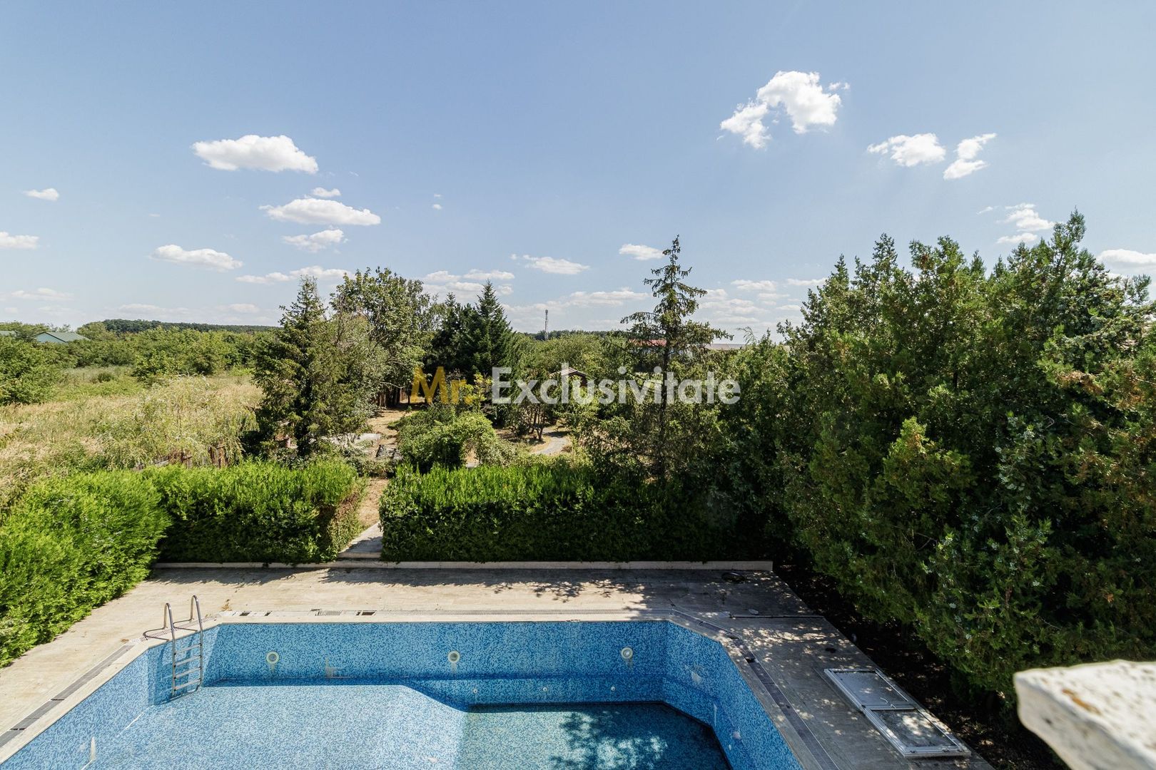 Domeniu privat 5.000 mp, cu reședință de 625 mp și piscină, Corbeanca - Poză 35