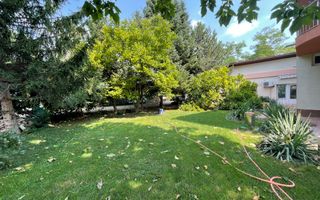 VOLUNTARI - Catedrala | Casa 7 Camere + Constructie Secundara - Poză 4