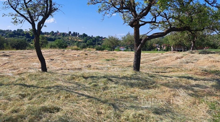 Teren Intravilan pentru Constructie | Potential Rezidențial | Feleacu - Poză 3