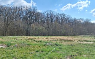 Teren duplex Dumbravita- Padurea Verde - Poză 2