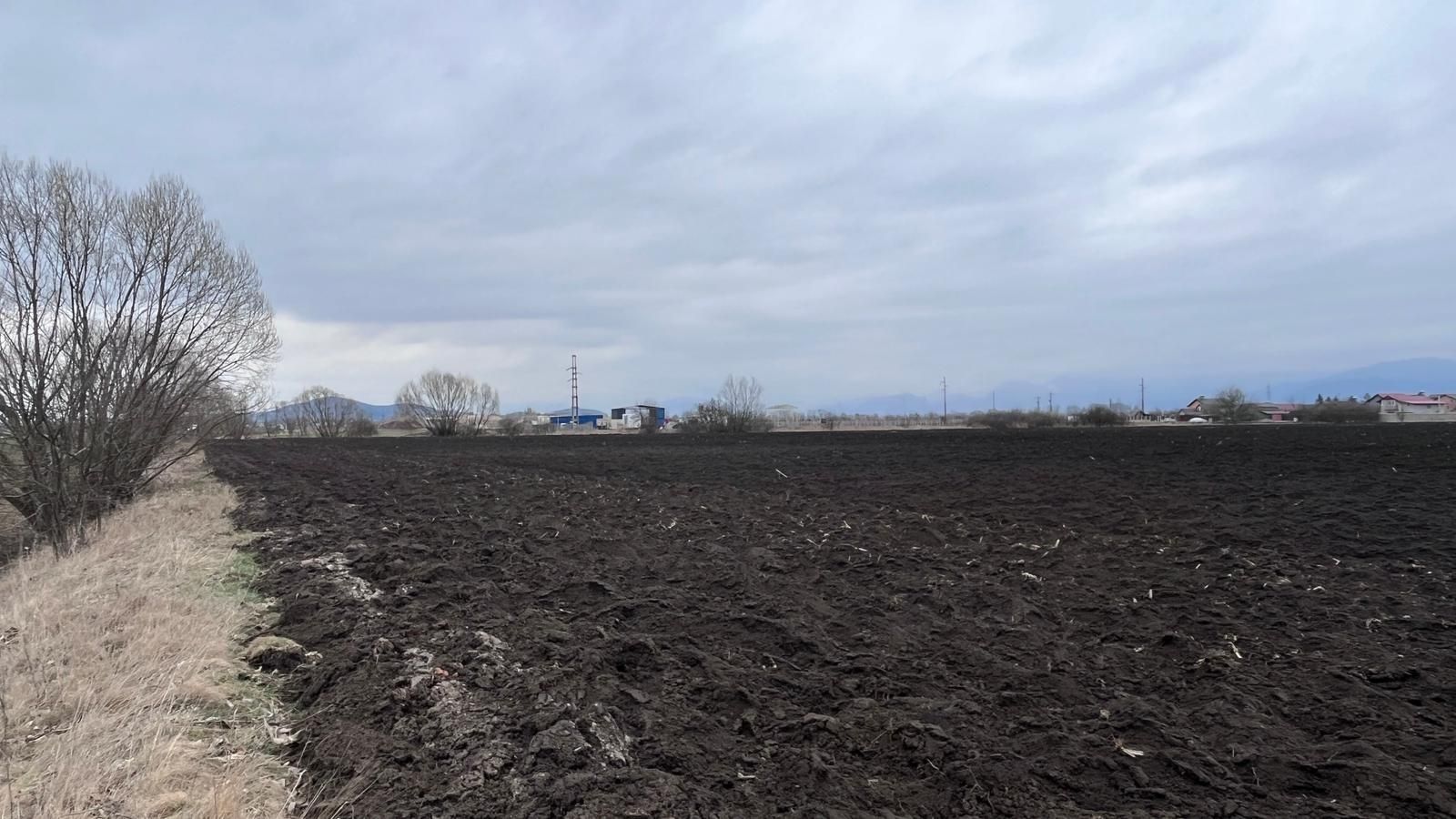 Teren 50000mp Extravilan-Intrare Halchiu-Cod 5235 - Poză 8