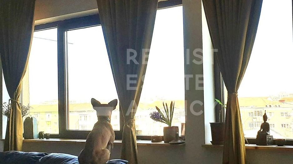 Vânzare, apartament, 4 camere, Calea Torontalului - Poză 4