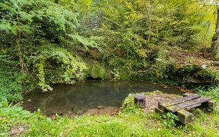 Domeniu în satul Căprioara - Poză 26