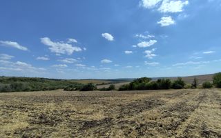 Lot agricol Budești, Mun. Chișinău - Poză 4