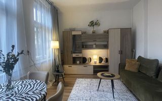 1 camera, UltraCentral, Baritiu, Mihai Viteazu, Muzeul de Arta - Poză 7