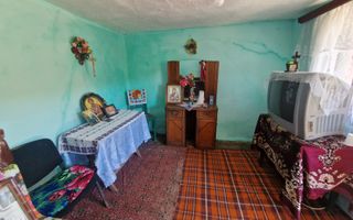 Căsuță autentică românească între două dealuri–colț de liniște  în Botesti, Arge - Poză 10