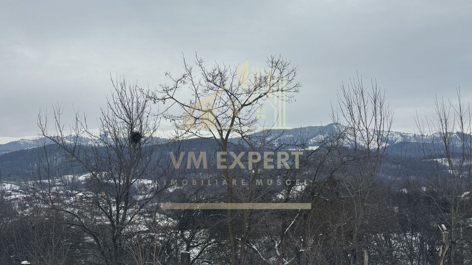 CASĂ 4 CAMERE TEREN 3038 MP ALBEȘTII  DE MUSCEL - Poză 29