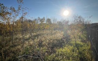 Teren intravilan de vanzare | 12.650 mp | Ghirdoveni, | COMISION 0% - Poză 13