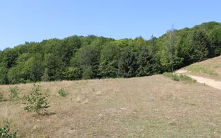 Terenuri Carpinis I parcelabil I Curent pe proprietati - Poză 42
