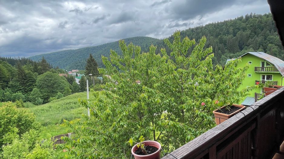 Proprietate in incantarea naturii, oportunitate investitie/rezidential, Predeal - Poză 24