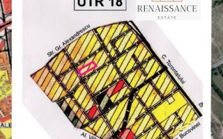 Torontalului Teren Intravilan 4200mp front 37 - Poză 5