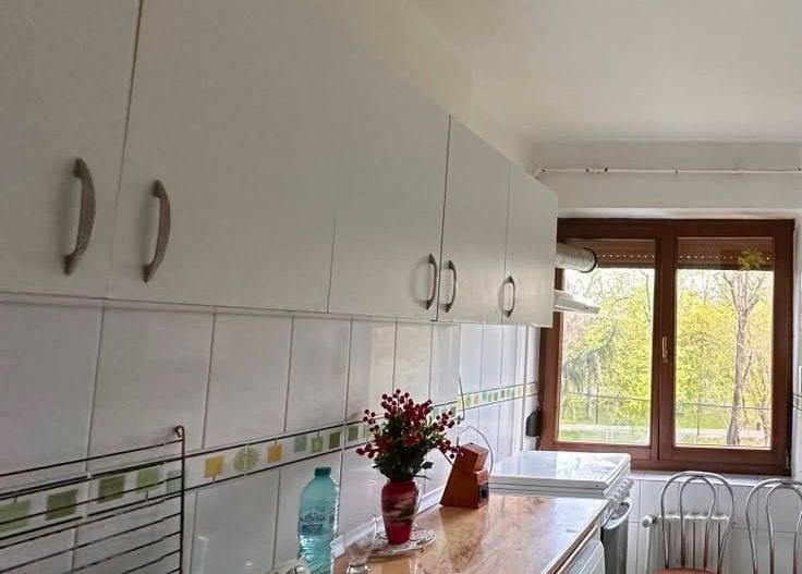 De inchiriat apartament cu 2 camere, etaj 2, Gradina Publica, 400 euro - Poză 7