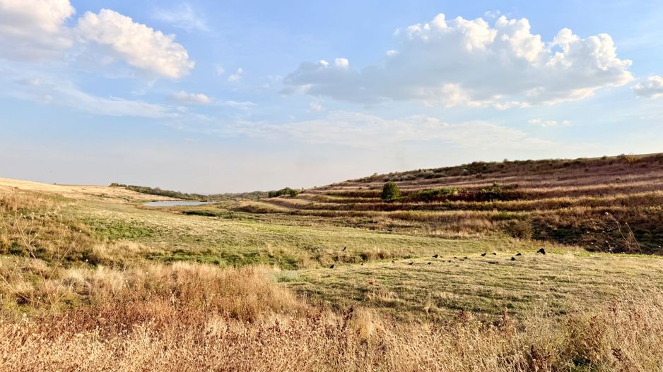 Teren Daia 75000 mp cu balta 30000 mp izvoare - Poză 21