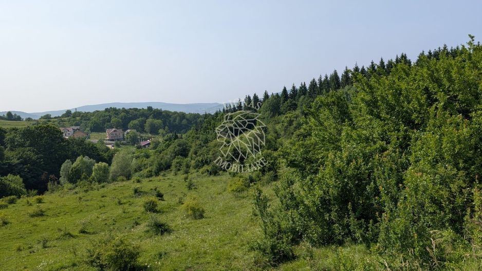 Teren 650 mp extravilan- 1,4 km de centru- ideal cabana- Oportunitate - Poză 2