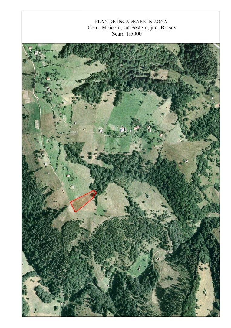 Teren pe platoul satului Pestera - Poză 4