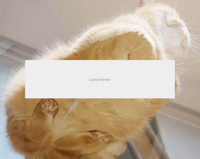 APARTAMENT NOICE CU CHIRIASI LA PACHET - Poză 3