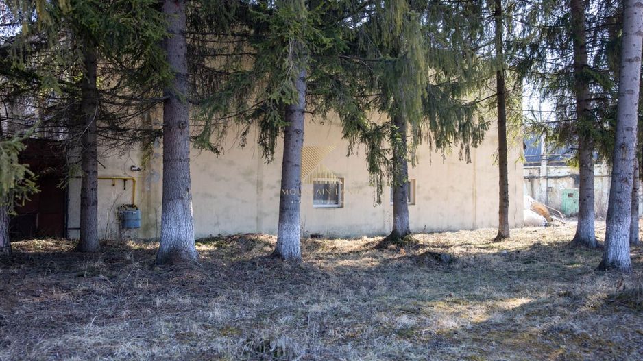 Hală Industrială de Vânzare în Parcul Industrial Tohan, Zărnești - Poză 33