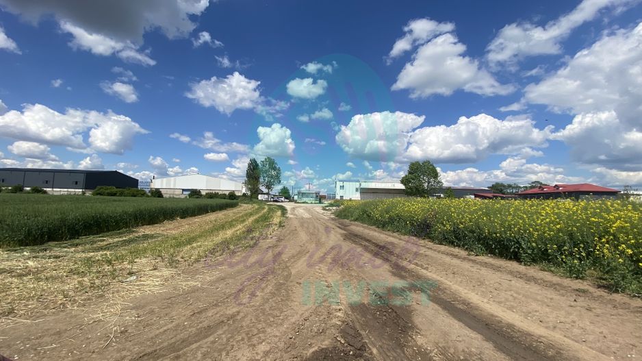 Oportunitate Investiție! Teren Intravilan 4467 mp - Poză 7