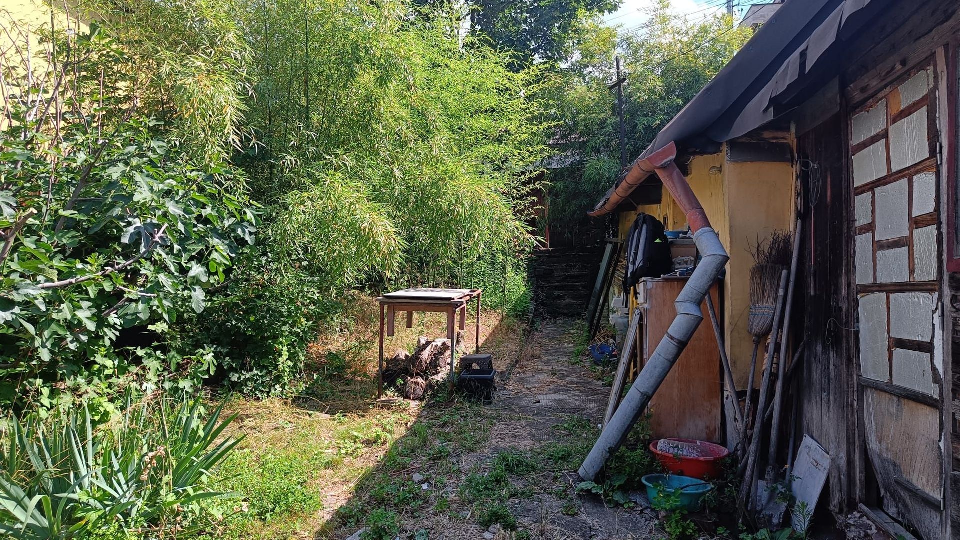 Teren intravilan constructii Hasdeu - Poză 2