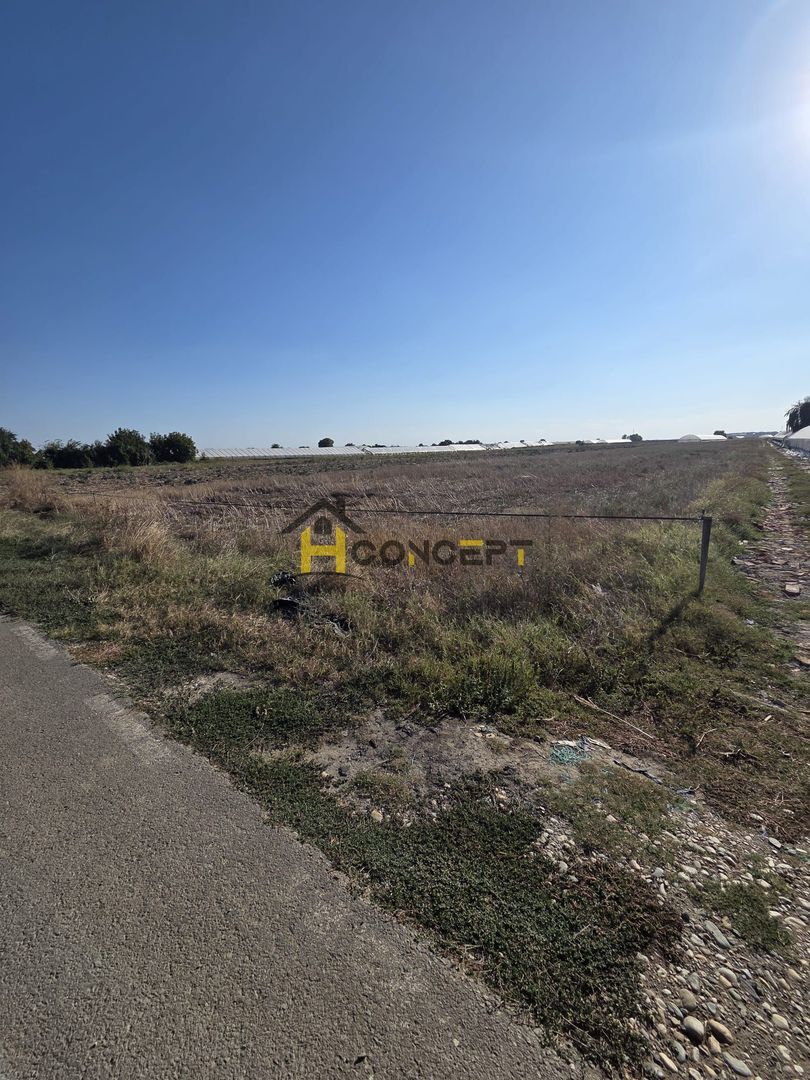 Teren 7 euro mp str asfaltata langa padure Colibasi Campurelu - Poză 4
