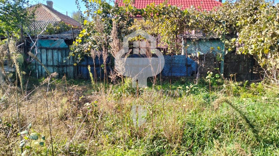 Casa de vanzare Lumina - Poză 7