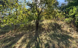Casa de vanzare 1500 mp Cugir zona linistita - Poză 11