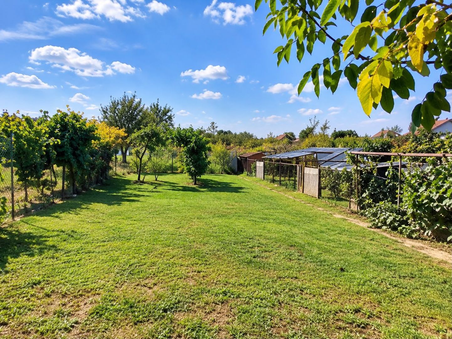 Casă cu 3 camere 85 mp în Freidorf + 2.877 mp teren - Poză 2