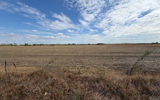 TEREN INTRAVILAN 4.750 MP | BORȘ | OPORTUNITATE DE INVESTIȚIE - Poză 3