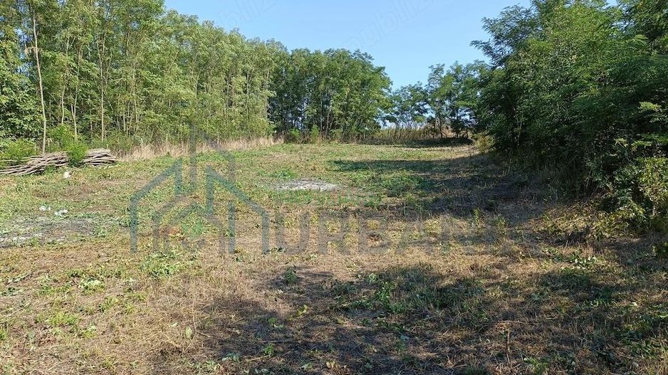 Casă renovată, Romanesti, Iași – 3 camere, 50 mp utili, teren 3240 mp - Poză 18